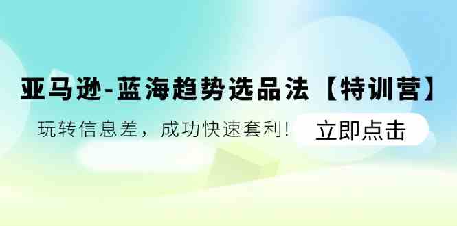 亚马逊蓝海趋势选品法【特训营】：玩转信息差，成功快速套利-飞哥网创